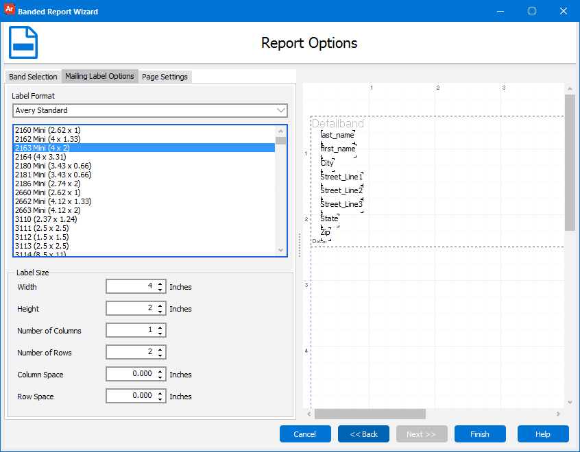 The Mailing Label options tab selected within the Banded Report Wizard dialog. The Avery Standard, using the 2163 mini layout is selected. A preview of the label is to the right of the listbox with all of the available formats.